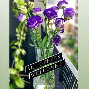 All Offers Considered